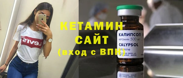крисы Лагань