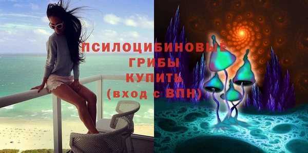 гашиш Гусев