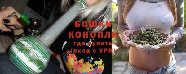 крисы Лагань
