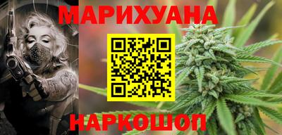 кокс Гатчина