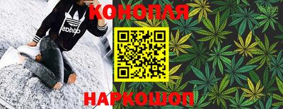 кокс Гатчина