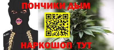 кокс Гатчина