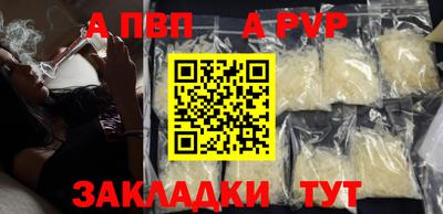 кокс Гатчина