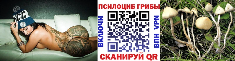 Галлюциногенные грибы MAGIC MUSHROOMS  где найти наркотики  MEGA онион  Гусь-Хрустальный 