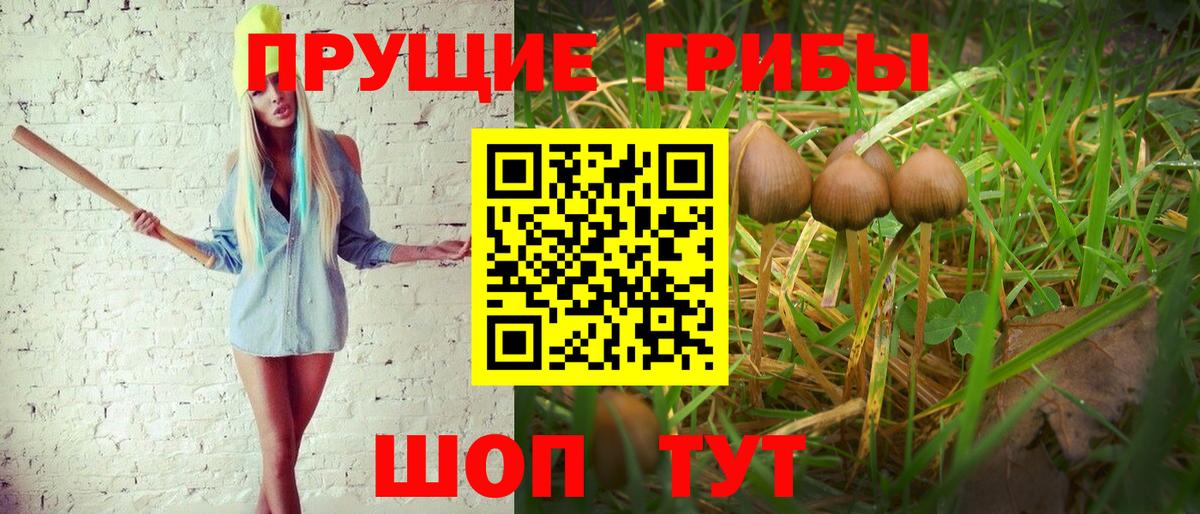 Псилоцибиновые грибы GOLDEN TEACHER  Галлюциногенные грибы ЛСД  Вход с VPN  Гусь-Хрустальный 