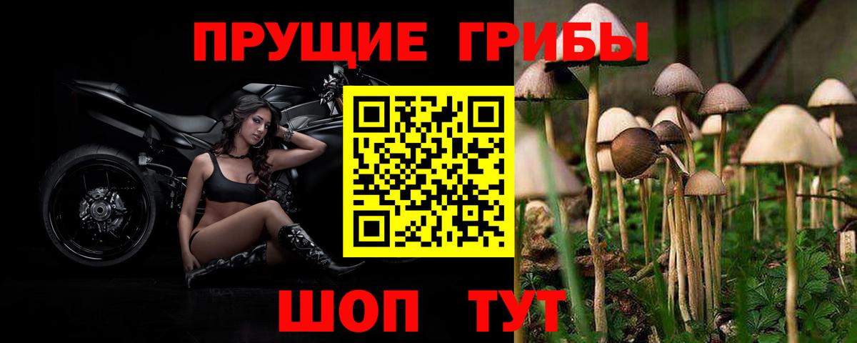 Галлюциногенные грибы ЛСД  где купить наркотик  Гусь-Хрустальный  Галлюциногенные грибы прущие грибы 